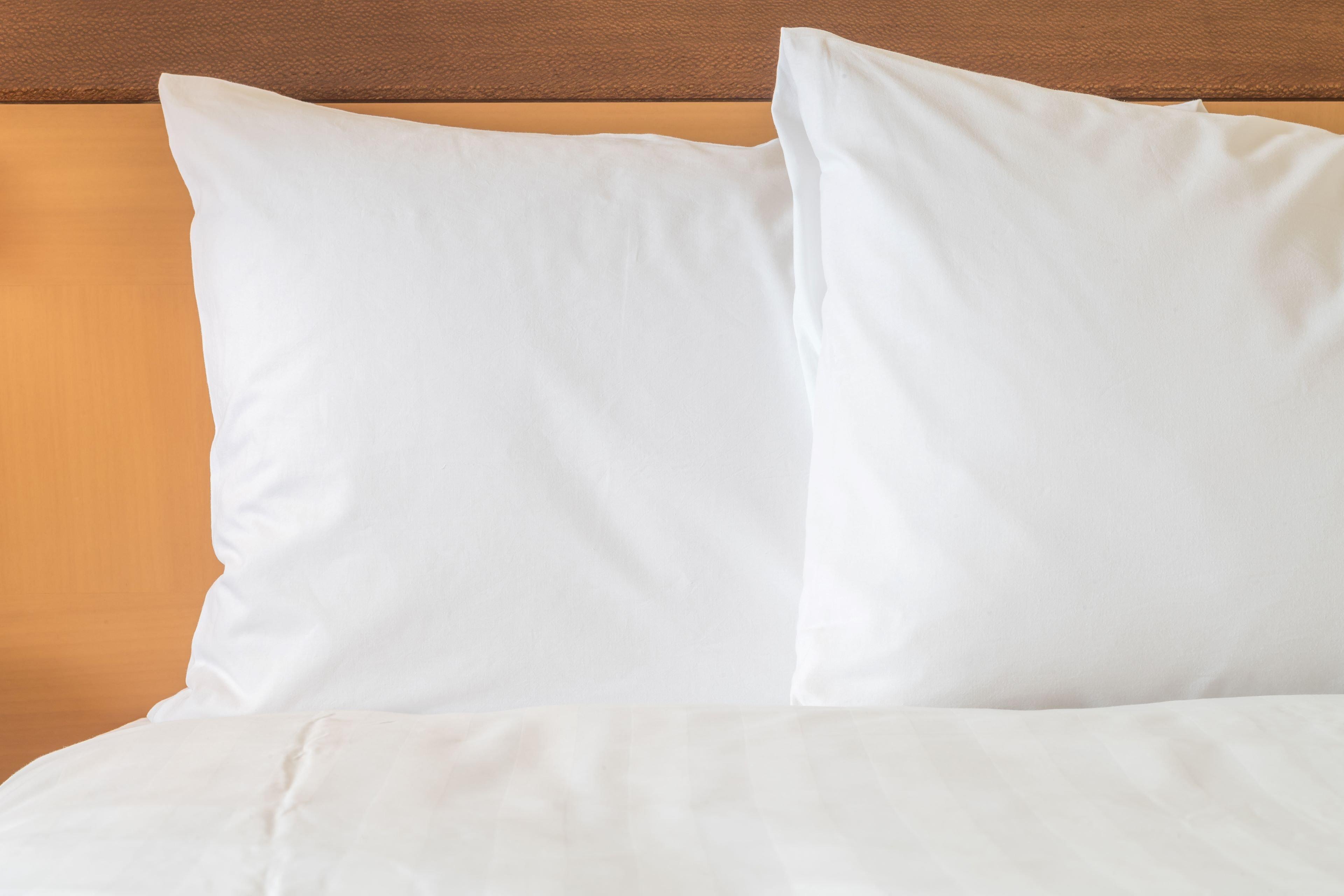 Holiday Inn Express Camden Hotel By Ihg Luaran gambar